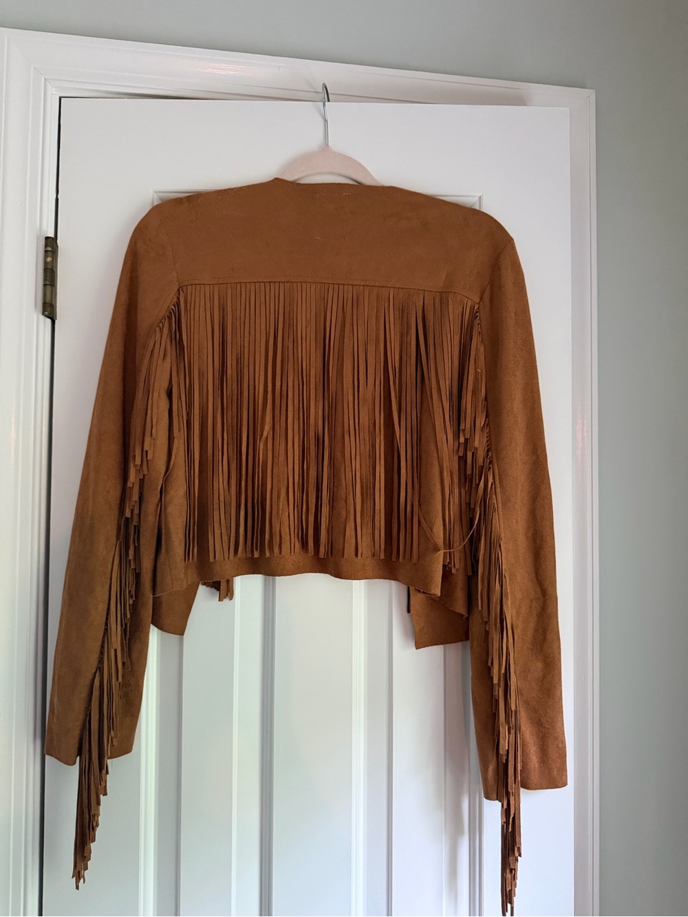 Cropped Fringe Suede Jacket in Tan - Picture 2 of 2